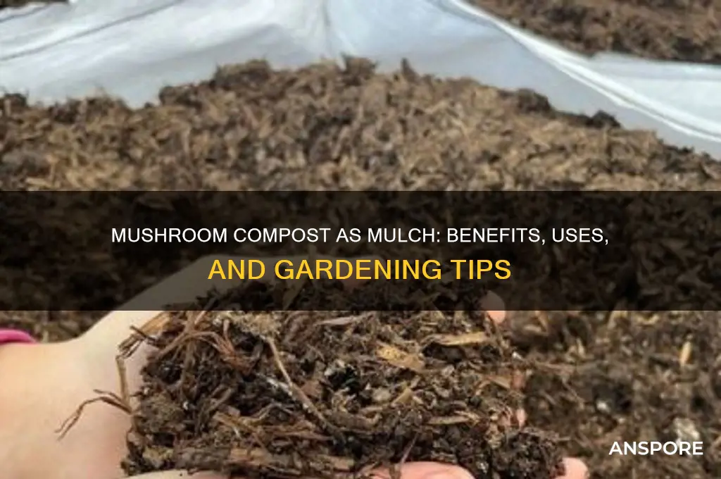 is mushroom compost a good mulch