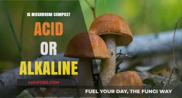 Mushroom Compost pH Levels: Acidic or Alkaline for Your Garden?
