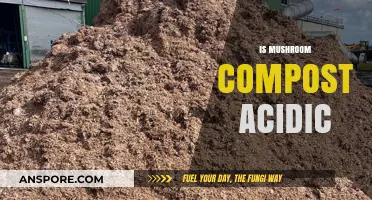 Mushroom Compost: Acidic or Alkaline?