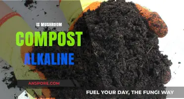 Mushroom Compost: Alkaline or Acidic?