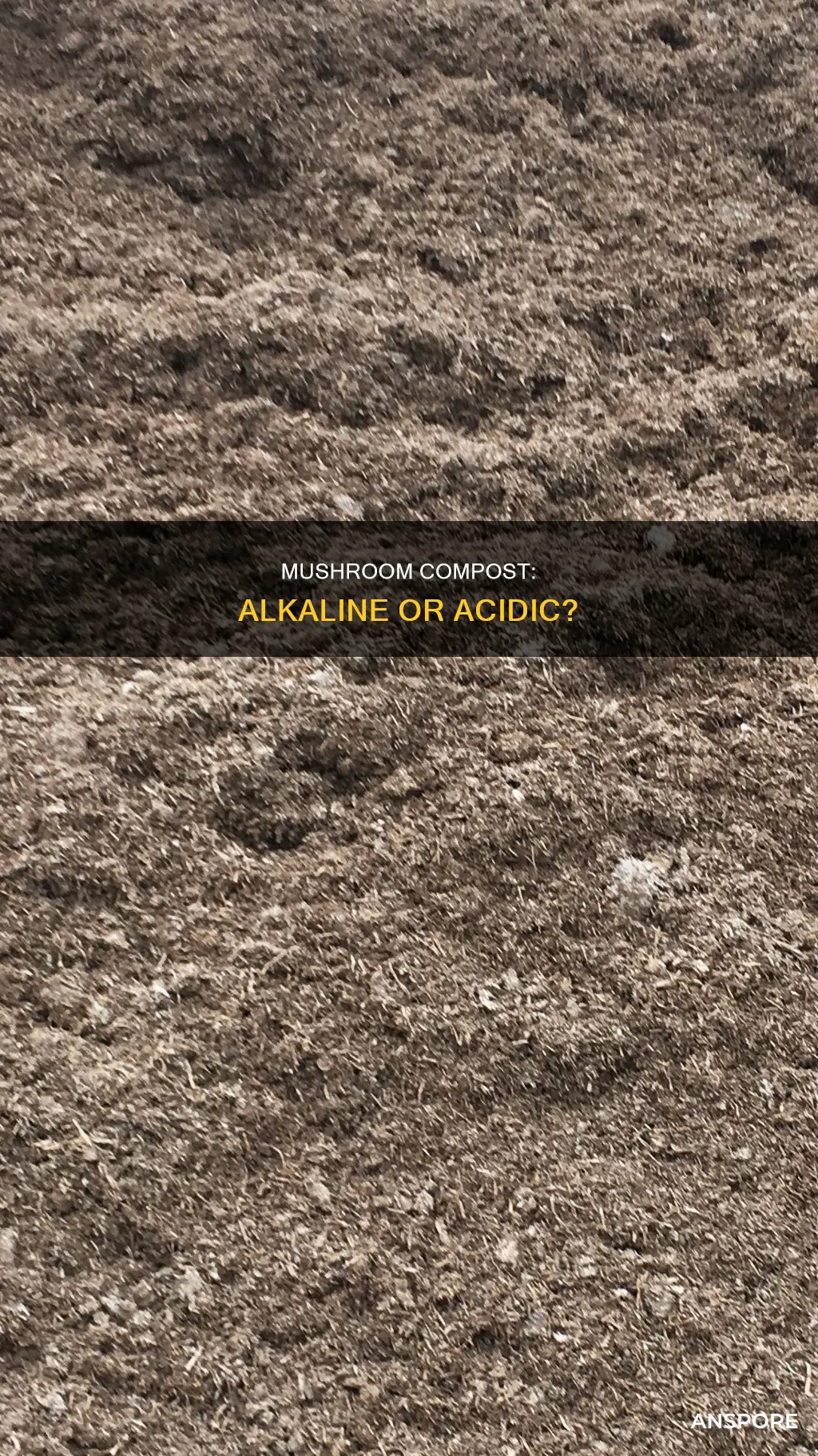 is mushroom compost alkaline