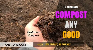 Mushroom Compost Benefits: Is It a Good Choice for Your Garden?