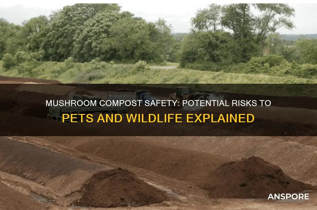 is mushroom compost bad for animals