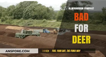 Mushroom Compost and Deer: Safe or Harmful for Wildlife?