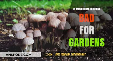 Is Mushroom Compost Harmful or Helpful for Your Garden?