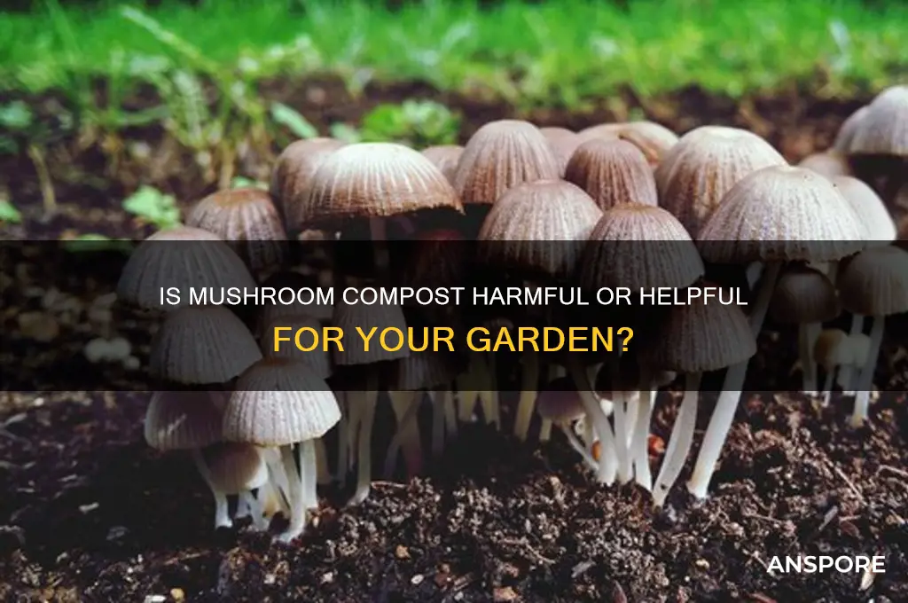 is mushroom compost bad for gardens