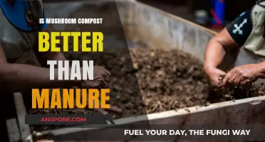 Mushroom Compost vs. Manure: Which Boosts Your Garden Best?