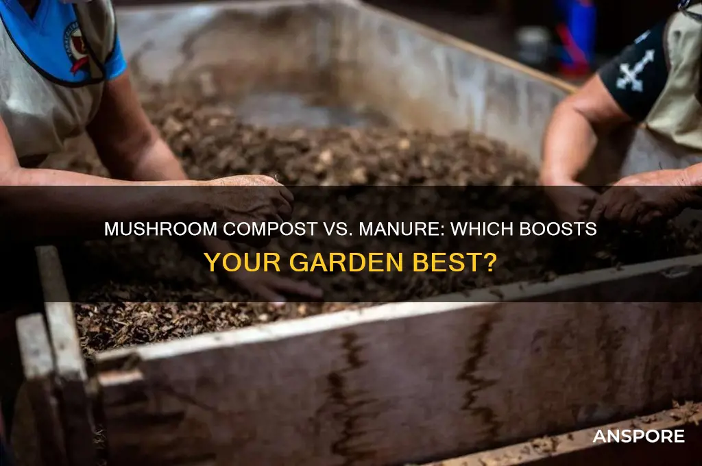 is mushroom compost better than manure