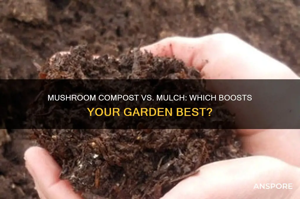 is mushroom compost better than mulch