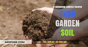 Mushroom Compost vs. Garden Soil: Which is the Cheaper Option?