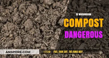 Mushroom Compost: Is It Safe to Use?