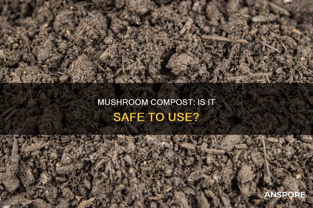is mushroom compost dangerous