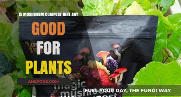 Mushroom Compost Benefits: Enhancing Plant Growth and Soil Health