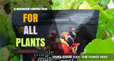 Mushroom Compost Benefits: Is It Suitable for Every Plant Type?