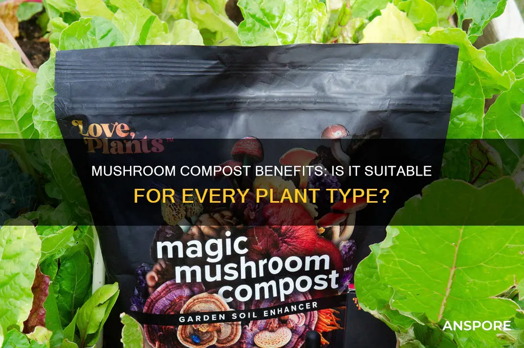 is mushroom compost good for all plants