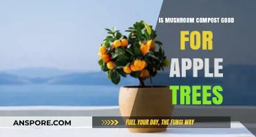 Boosting Apple Tree Growth: Benefits of Mushroom Compost Explained