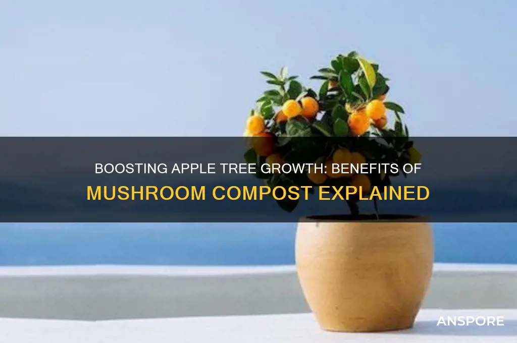 is mushroom compost good for apple trees