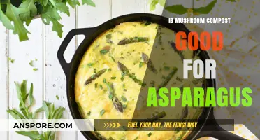 Mushroom Compost Benefits: Boosting Asparagus Growth and Soil Health