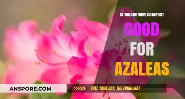 Mushroom Compost Benefits: Enhancing Azalea Growth and Soil Health