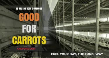 Boost Your Carrot Harvest: Benefits of Mushroom Compost for Growth