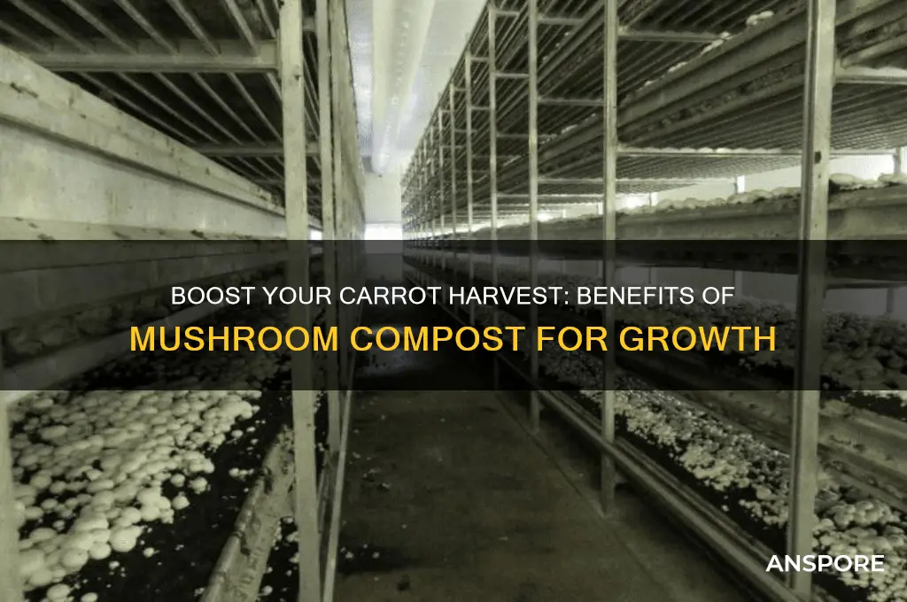 is mushroom compost good for carrots