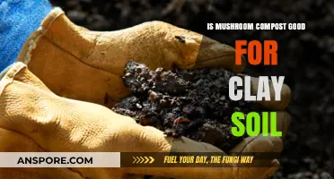 Enhance Clay Soil with Mushroom Compost: Benefits and Best Practices