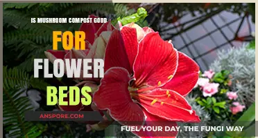 Mushroom Compost Benefits: Enhancing Flower Beds with Organic Matter