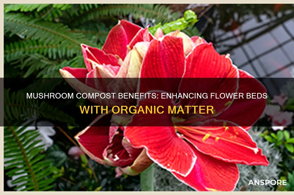 is mushroom compost good for flower beds