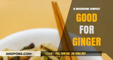 Boosting Ginger Growth: Benefits of Mushroom Compost in Your Garden