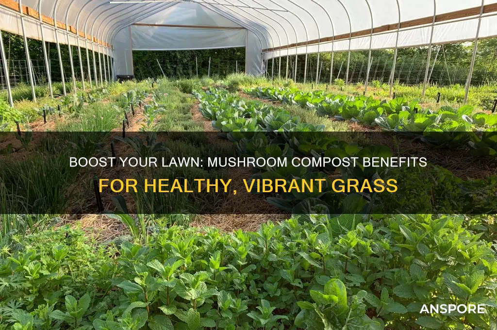 is mushroom compost good for grass