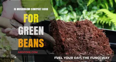 Boosting Green Bean Growth: Benefits of Mushroom Compost in Gardens