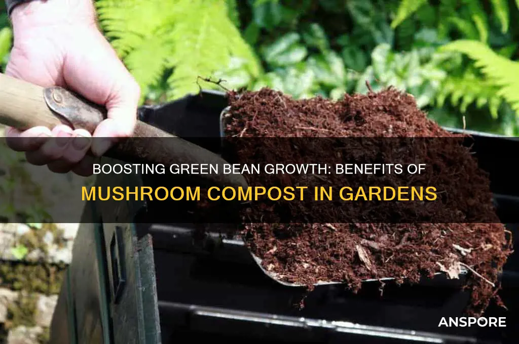 is mushroom compost good for green beans