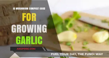 Boosting Garlic Growth: Benefits of Using Mushroom Compost in Gardens