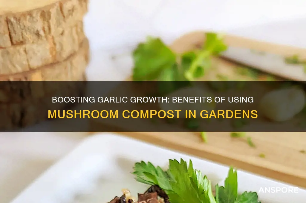 is mushroom compost good for growing garlic