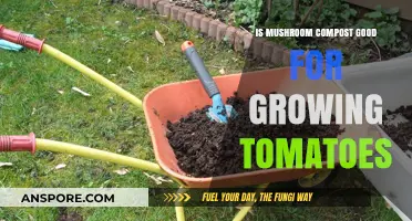 Boost Your Tomato Harvest: Benefits of Mushroom Compost for Growth