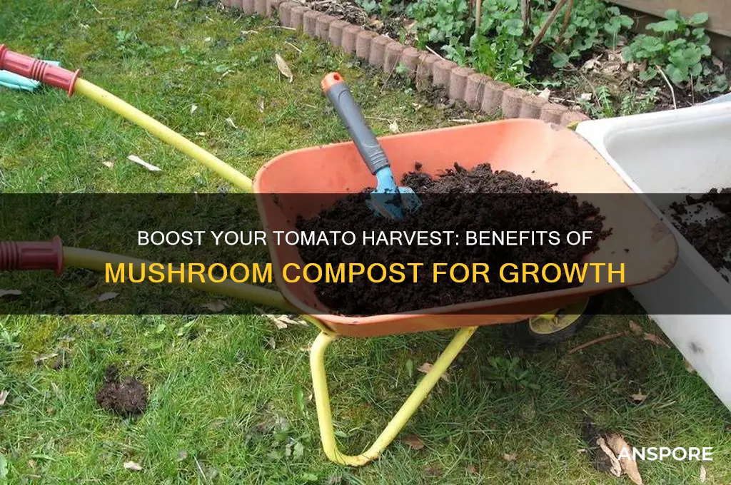 is mushroom compost good for growing tomatoes