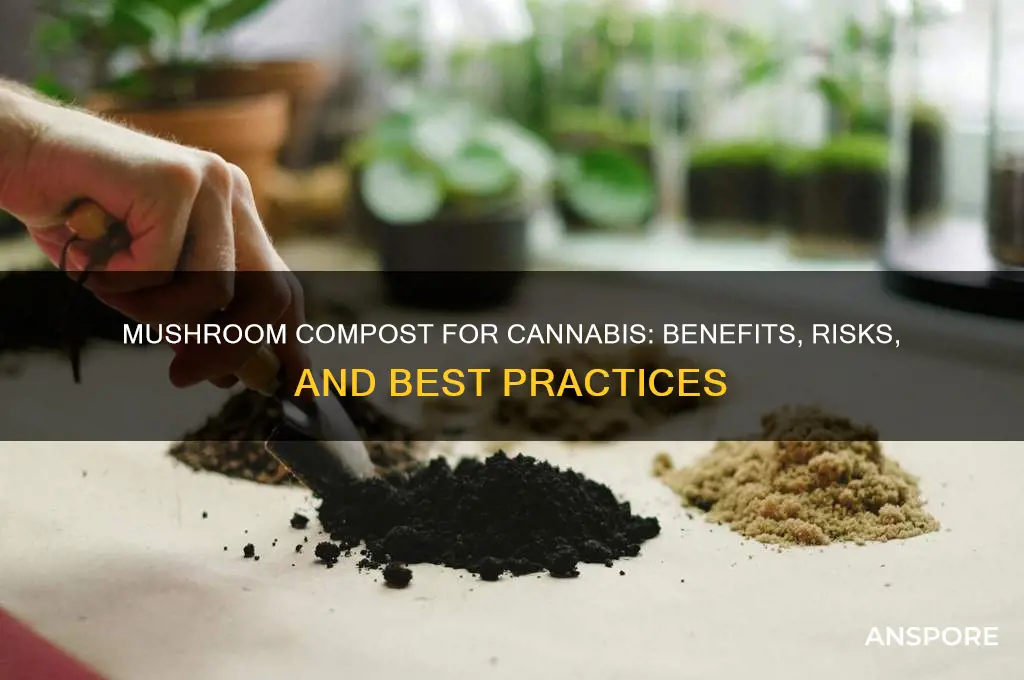 is mushroom compost good for growing weed