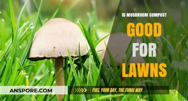 Boost Your Lawn: Mushroom Compost Benefits and Application Tips