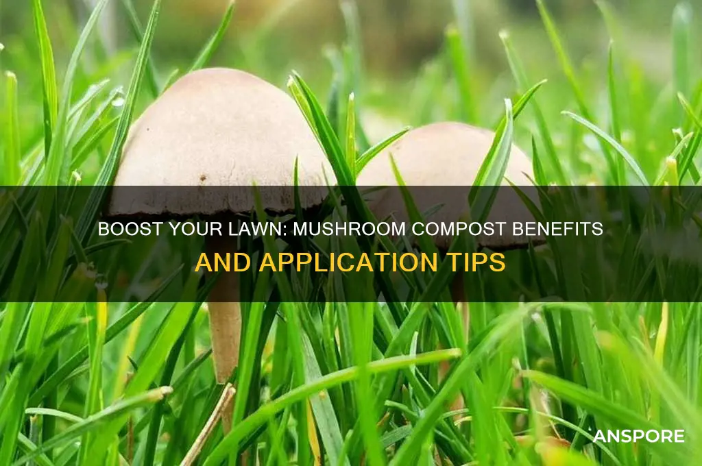 is mushroom compost good for lawns
