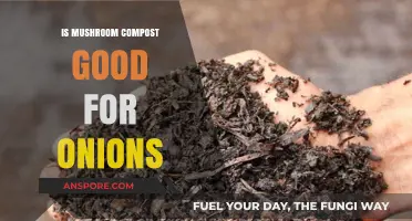 Mushroom Compost Benefits: Boosting Onion Growth in Your Garden