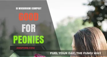 Mushroom Compost Benefits: Enhancing Peony Growth and Blooming Potential