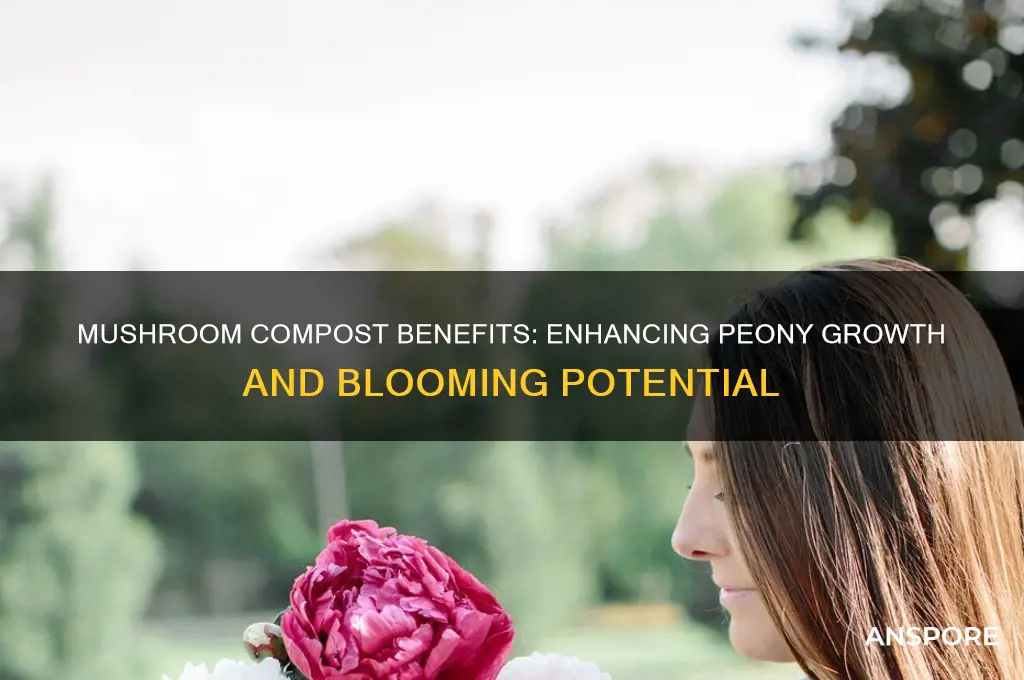 is mushroom compost good for peonies