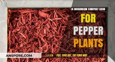 Boosting Pepper Plants: Benefits of Mushroom Compost in Your Garden