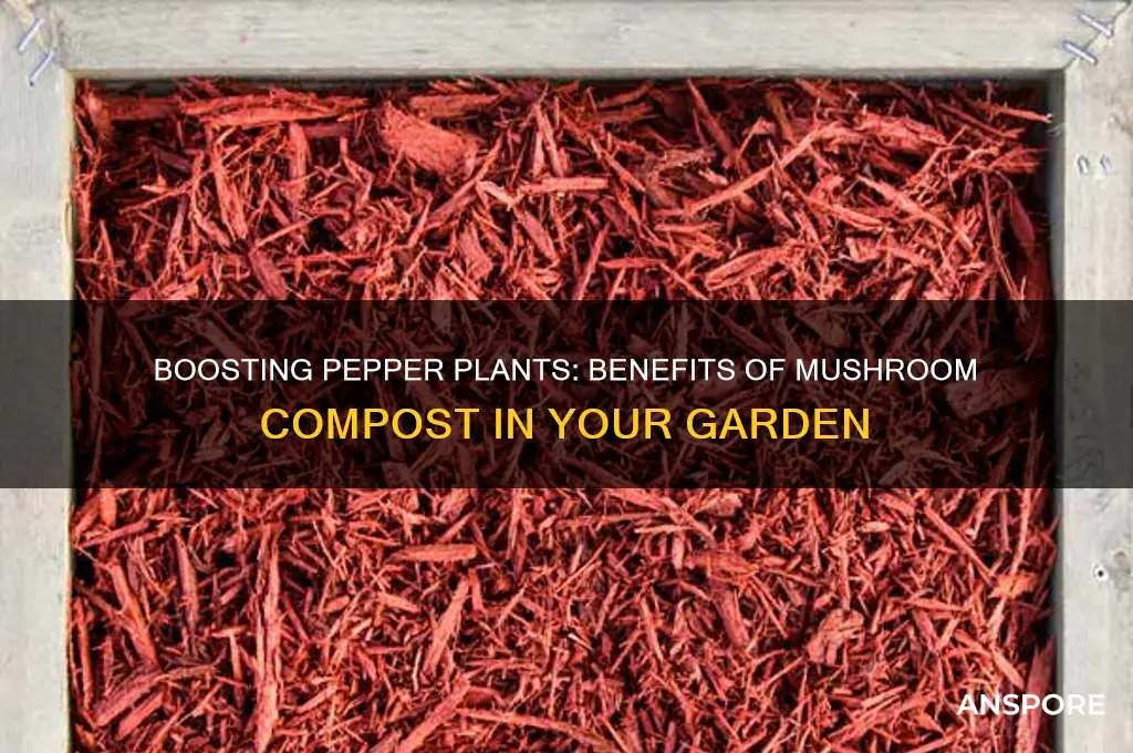 is mushroom compost good for pepper plants
