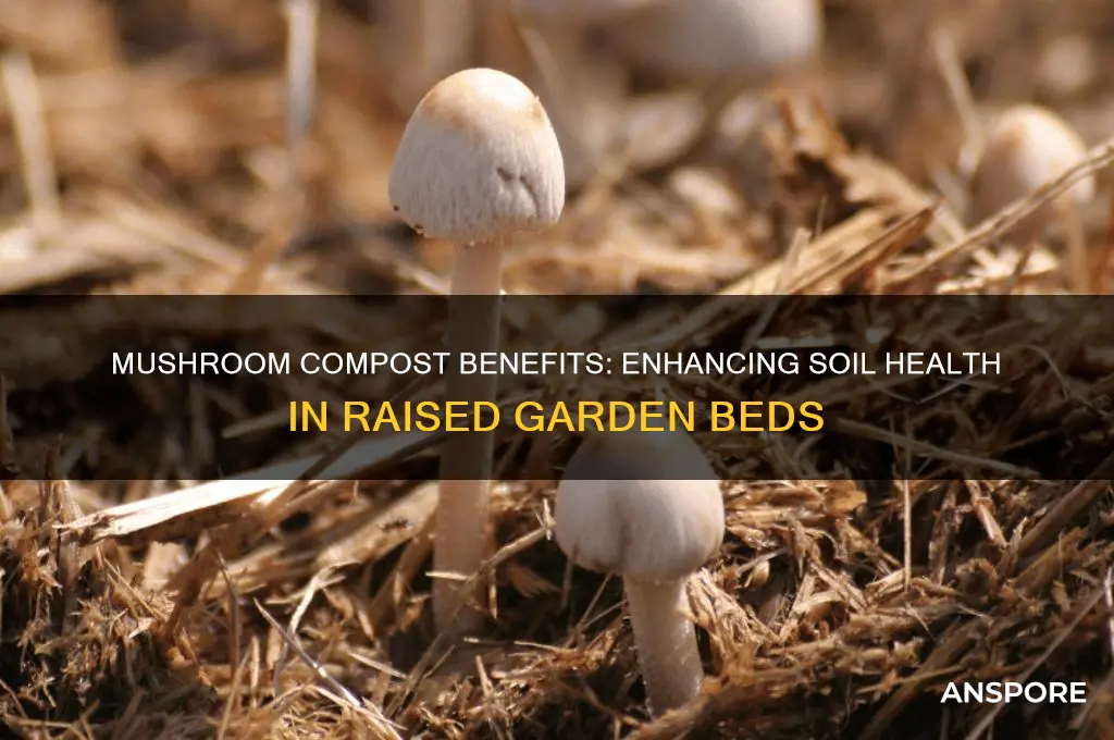 is mushroom compost good for raised beds