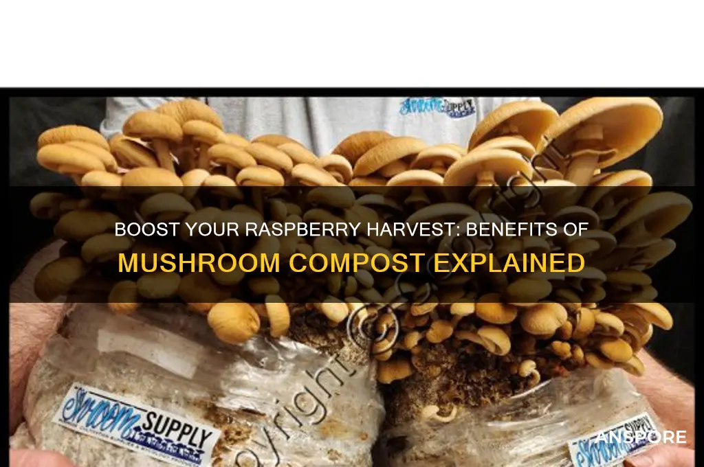 is mushroom compost good for raspberries