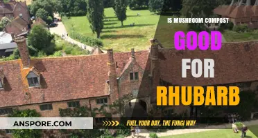 Boosting Rhubarb Growth: Benefits of Using Mushroom Compost in Gardens