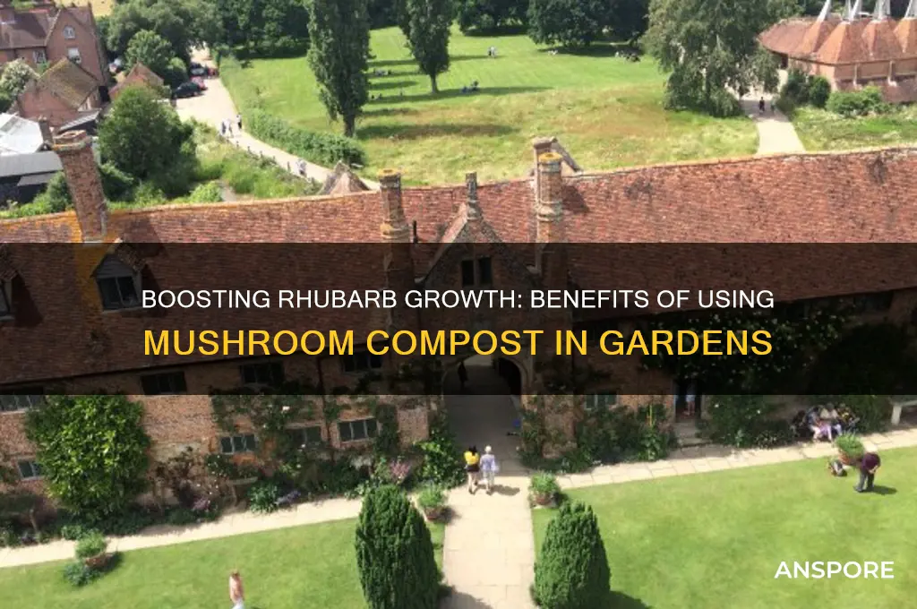 is mushroom compost good for rhubarb