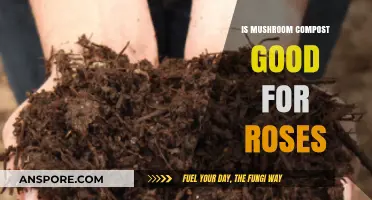 Mushroom Compost Benefits: Boosting Rose Health and Blooming Potential