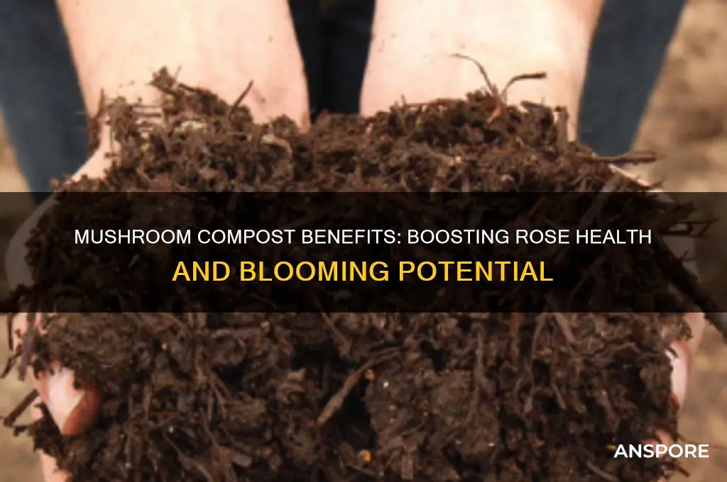 is mushroom compost good for roses
